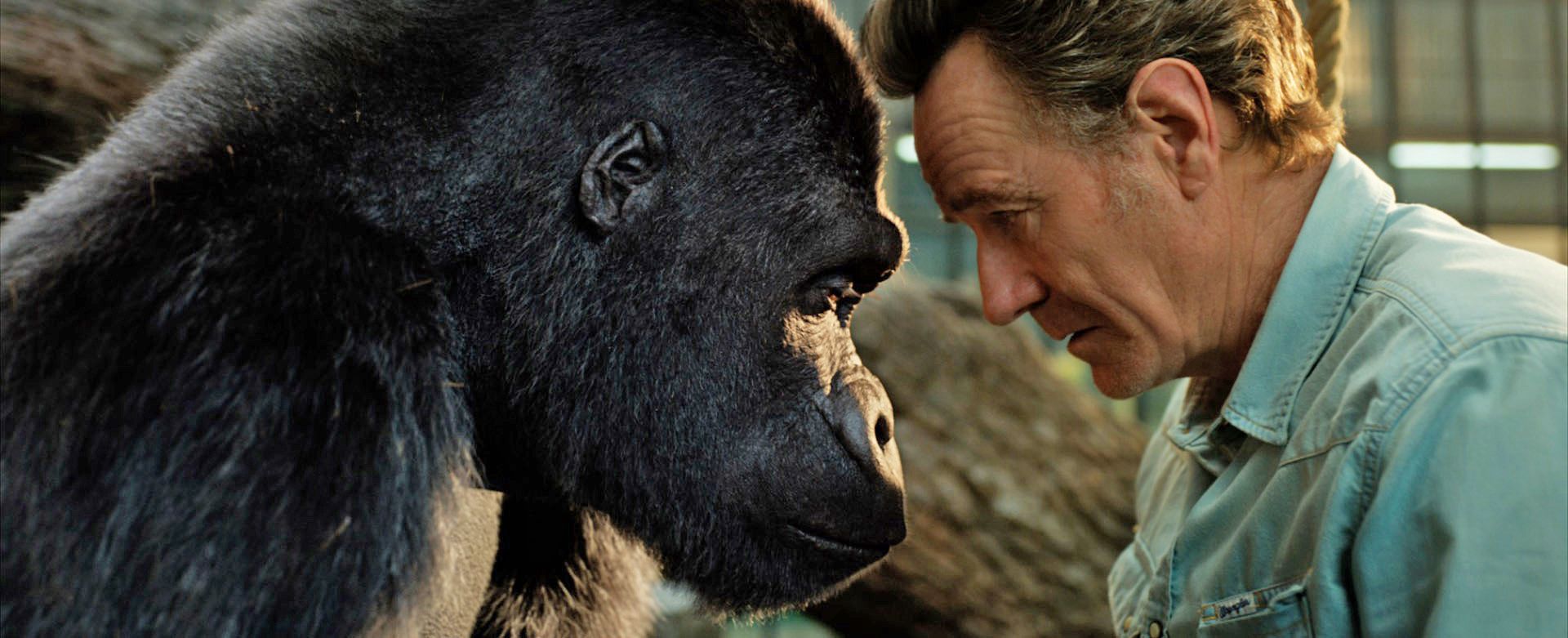 the one and only ivan