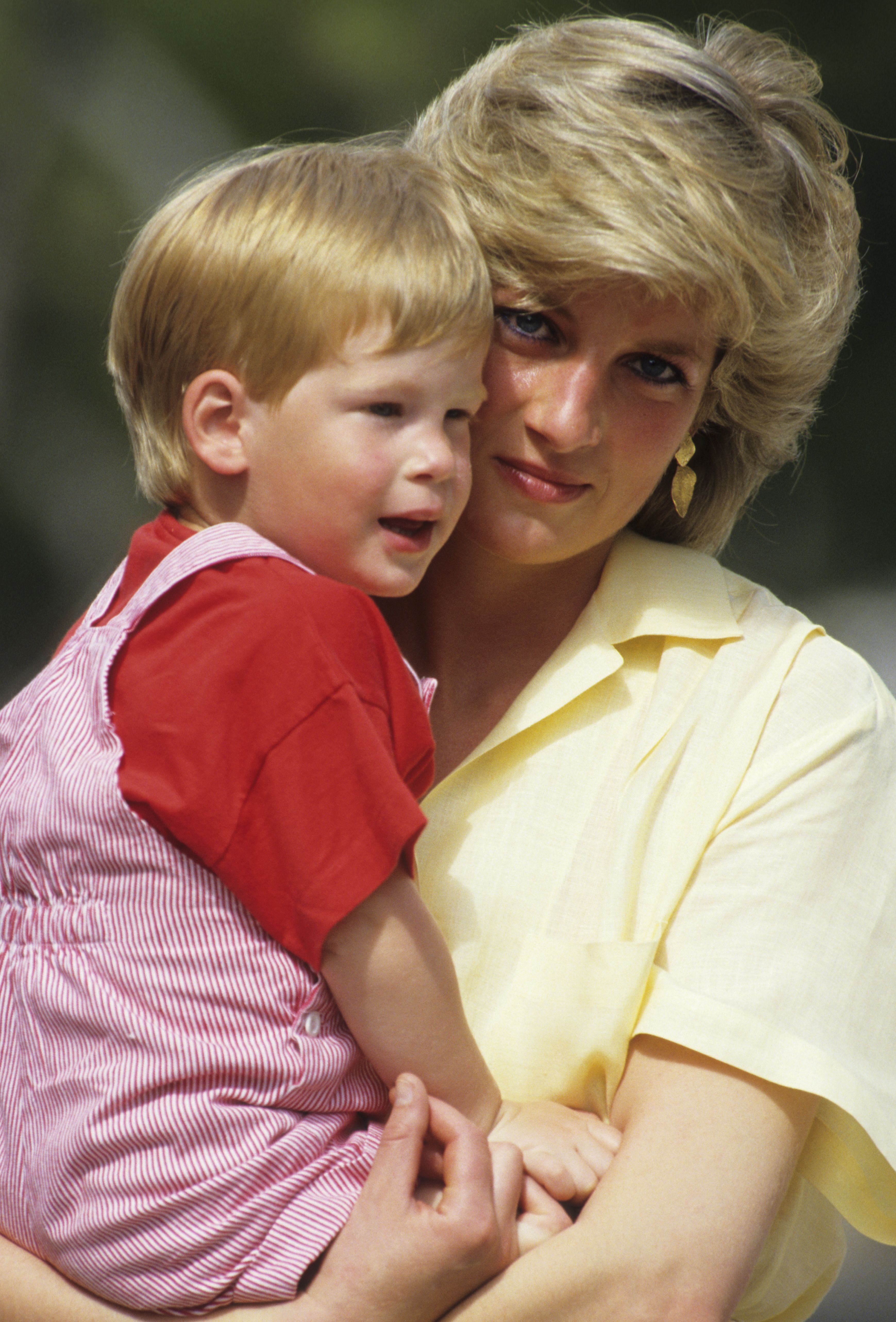 princess diana and prince harry